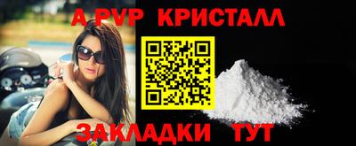 шишки Обь