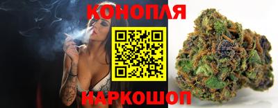 шишки Обь