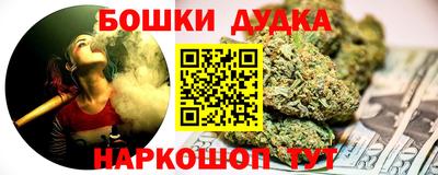 шишки Обь
