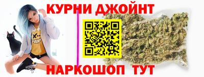 шишки Обь