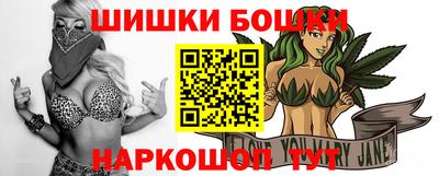 шишки Обь