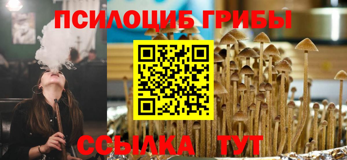 Псилоцибиновые грибы прущие грибы Сургут