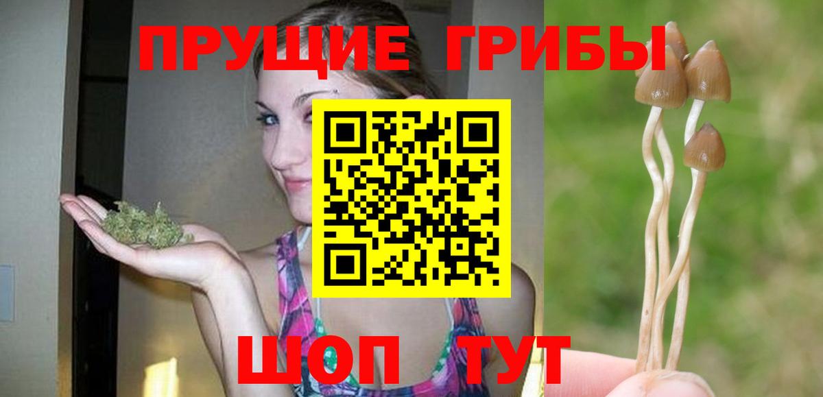 Сургут  Галлюциногенные грибы мицелий  Вход с VPN  Псилоцибиновые грибы GOLDEN TEACHER 